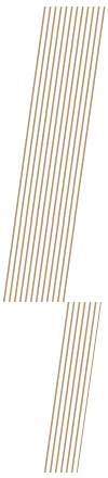 https://www.zadarskanadbiskupija.hr/wp-content/uploads/2022/05/floating_image_home_03_01.png