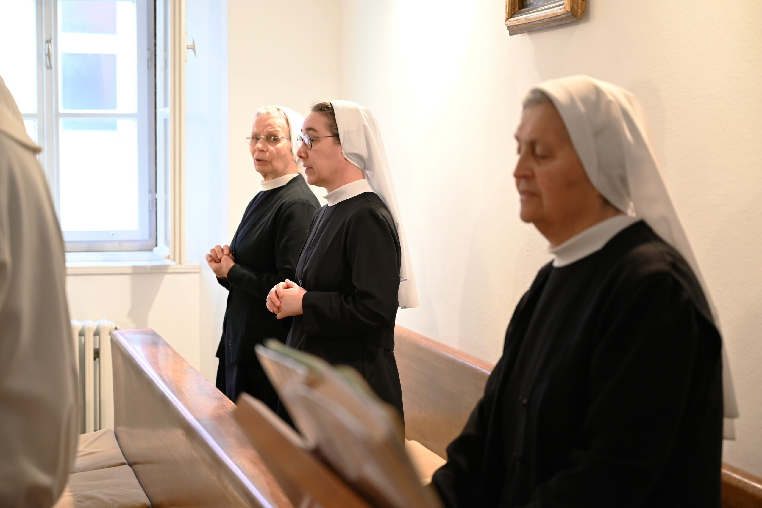 DSC_7303 1 DSC_7303 1