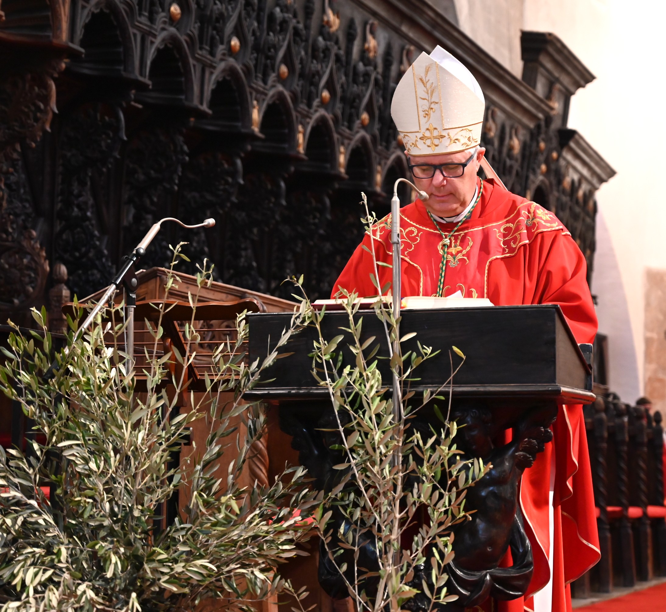 DSC_0380 1 DSC_0380 1