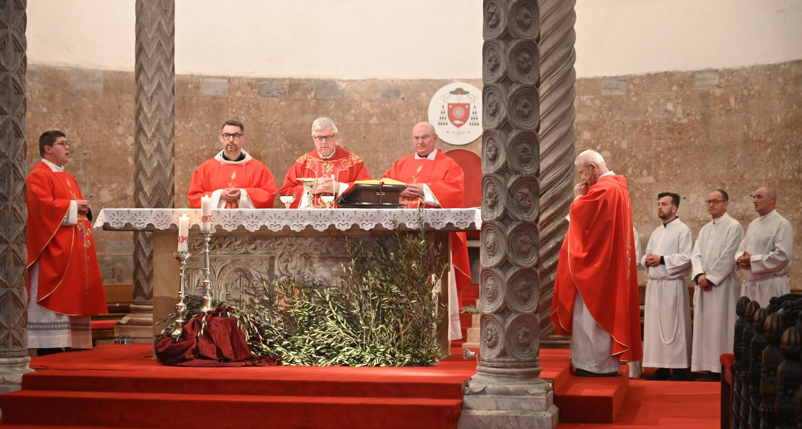 DSC_0427 1 DSC_0427 1