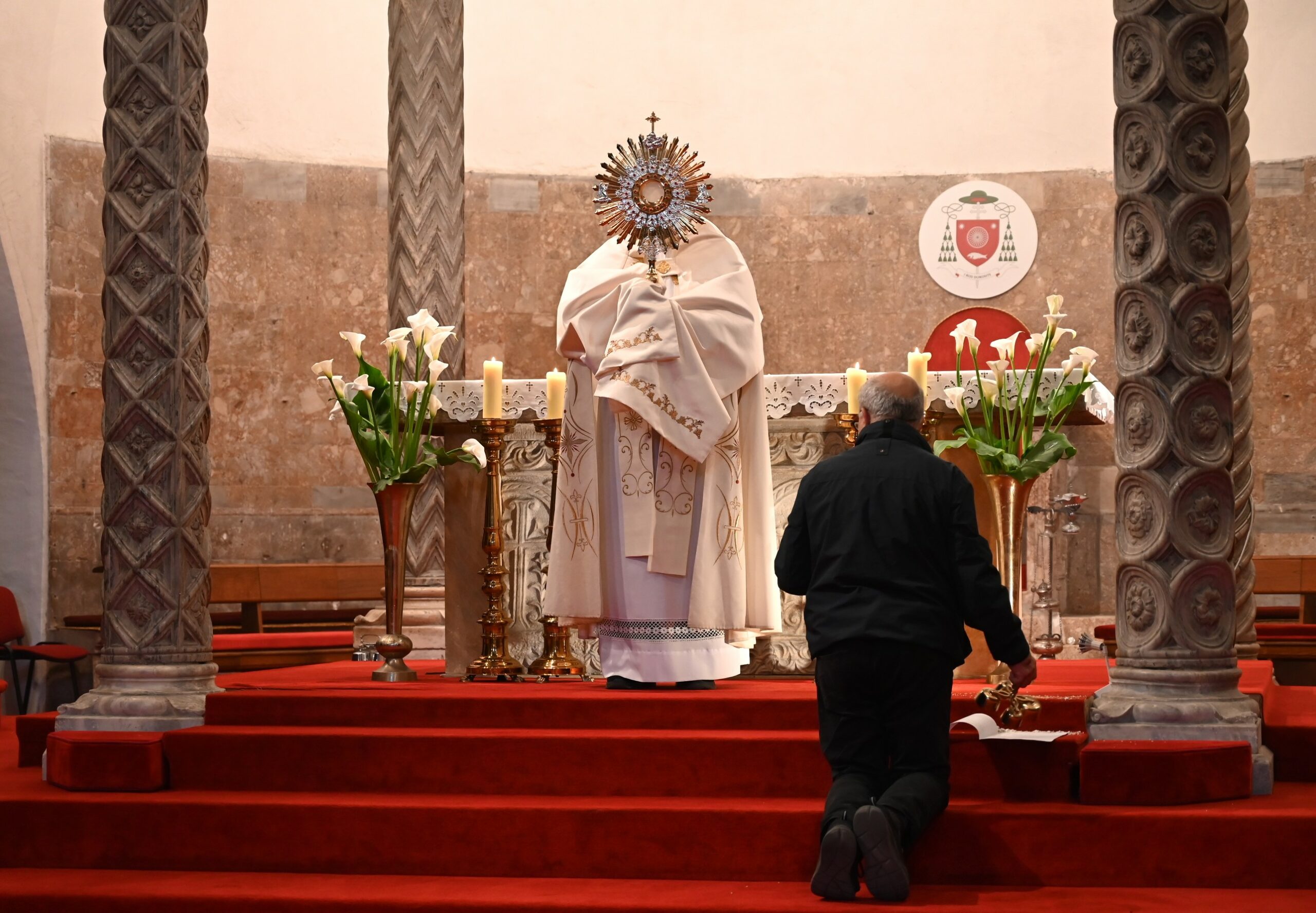 DSC_9805 1 DSC_9805 1