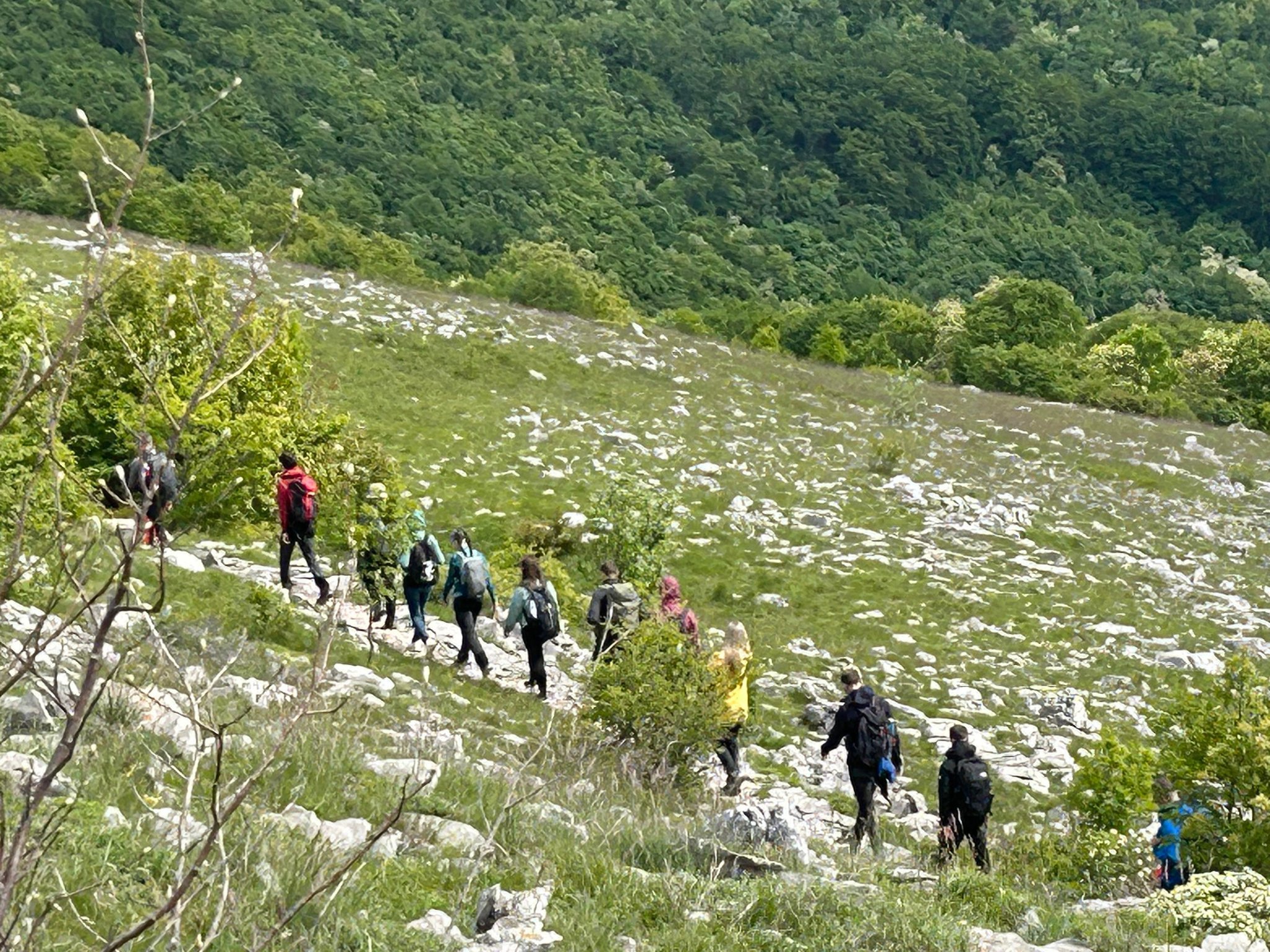 498599224_122226717842088038_5688023092210590269_n