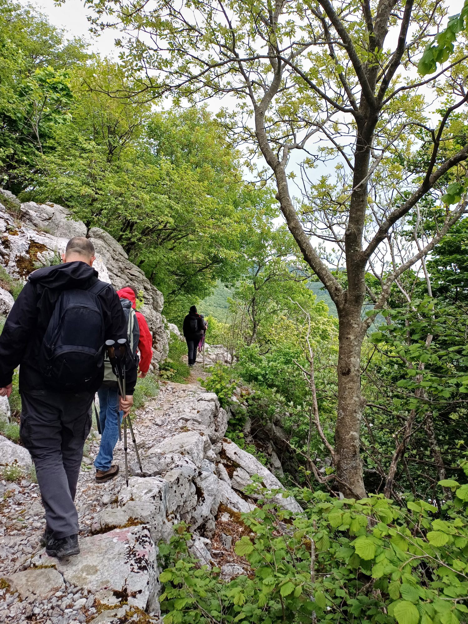 498658991_122226717410088038_2353549038902624289_n