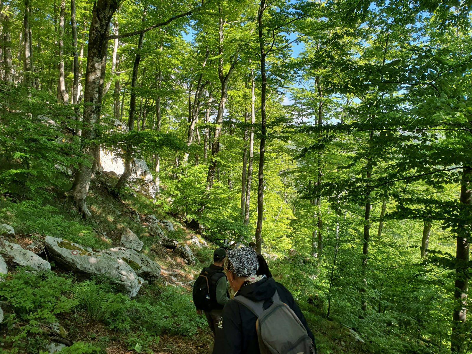 499054012_122226716072088038_6293835446237233496_n