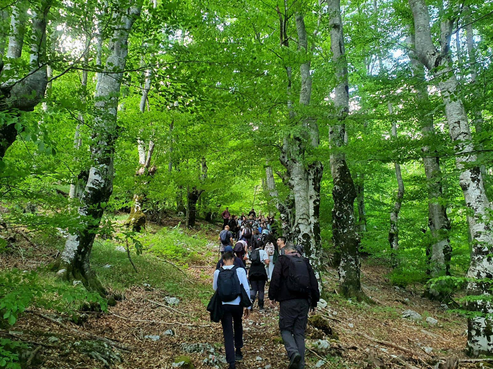 499258099_122226716300088038_3949683853575007535_n