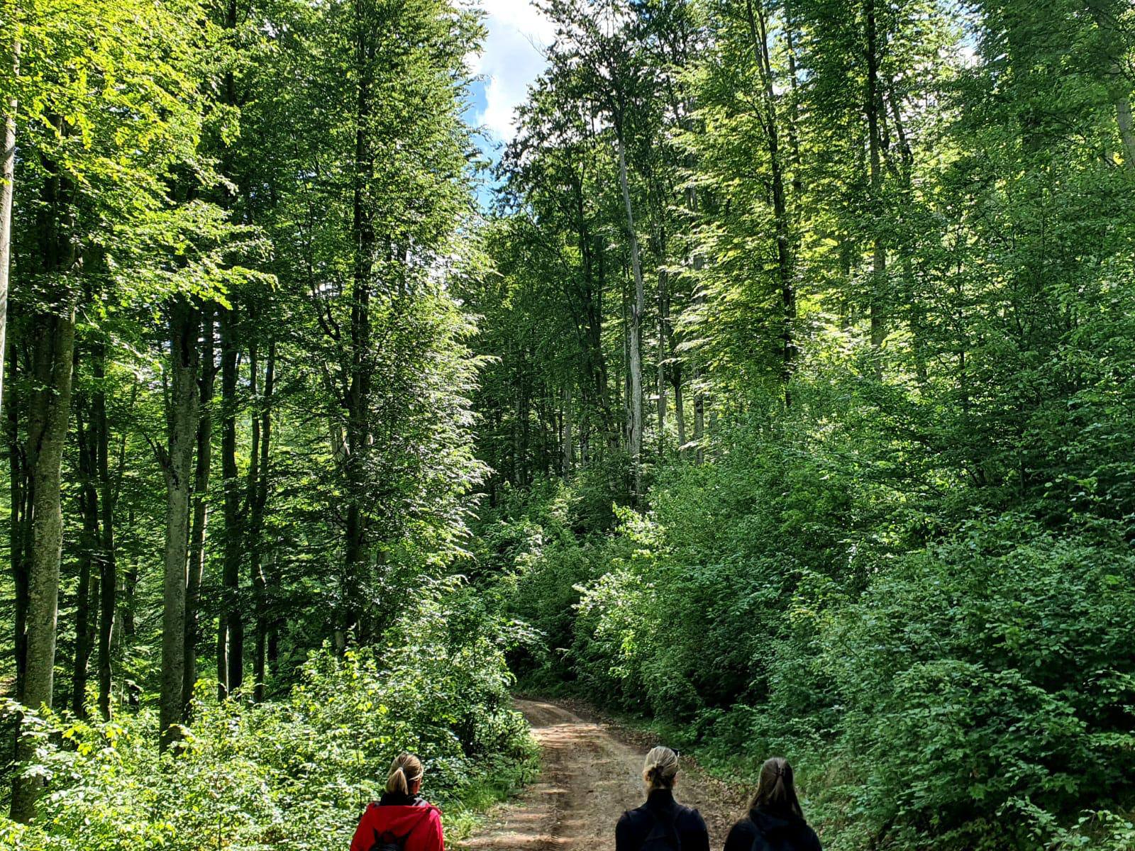 499830558_122226716120088038_2511190774398632091_n