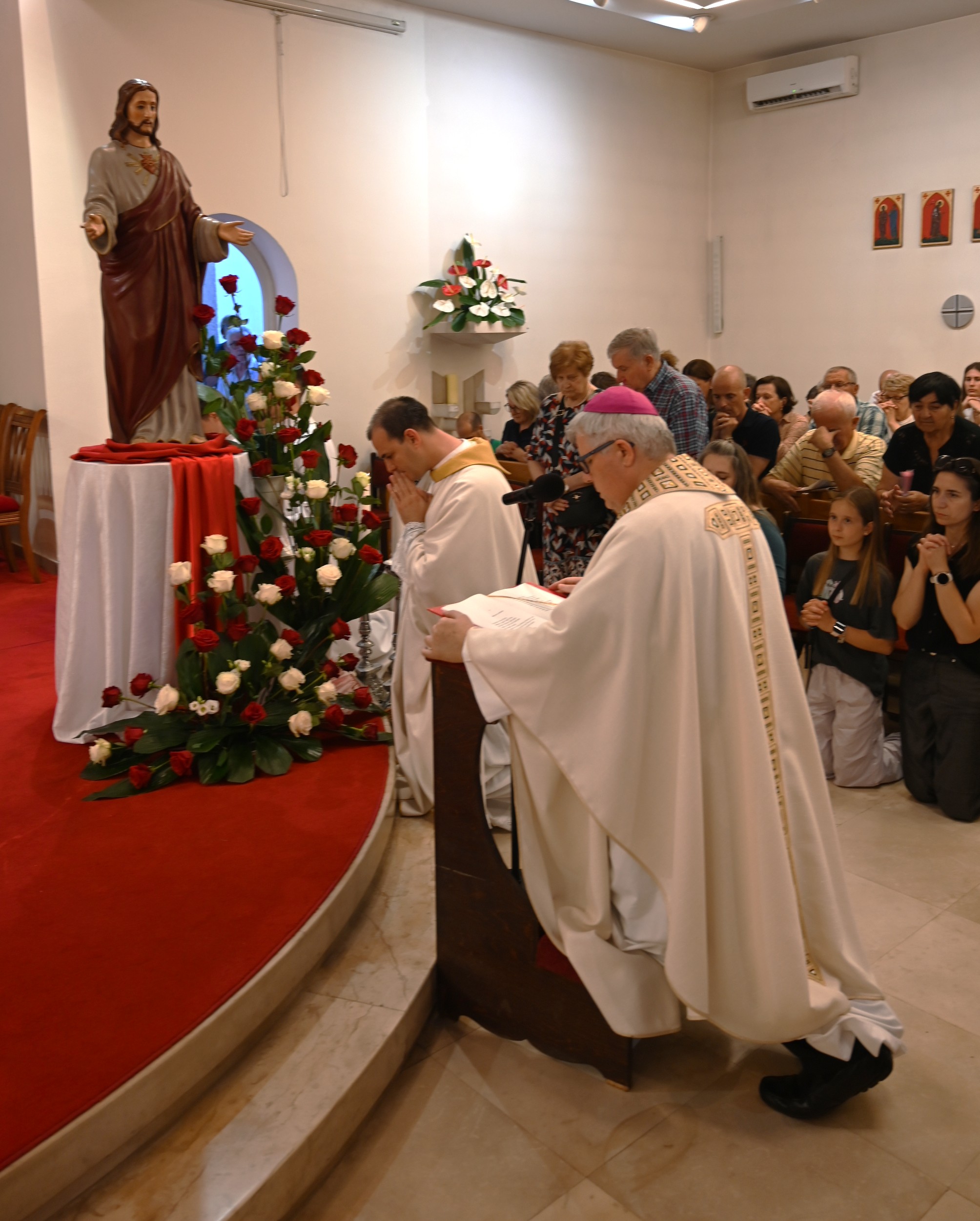 DSC_8703 1 DSC_8703 1