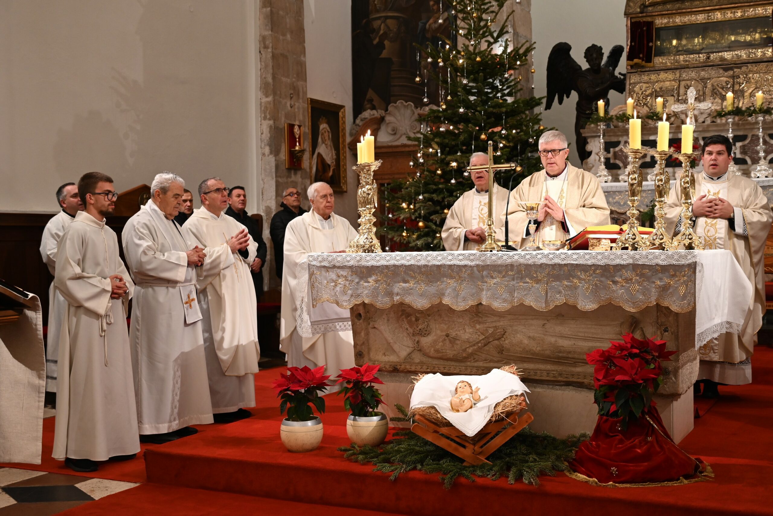 DSC_7311 1 DSC_7311 1