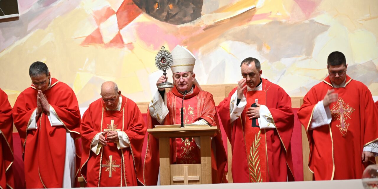 ZADAR: Hvarski biskup Ranko Vidović predvodio misu na Stepinčevo na Bilom Brigu