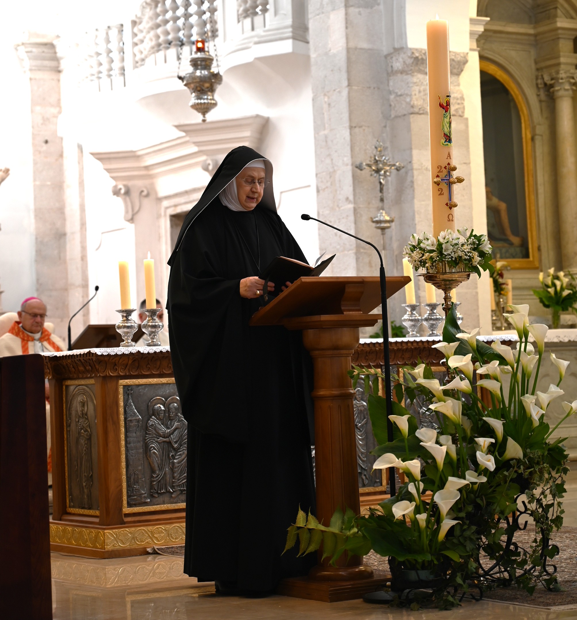 DSC_1008 1 DSC_1008 1